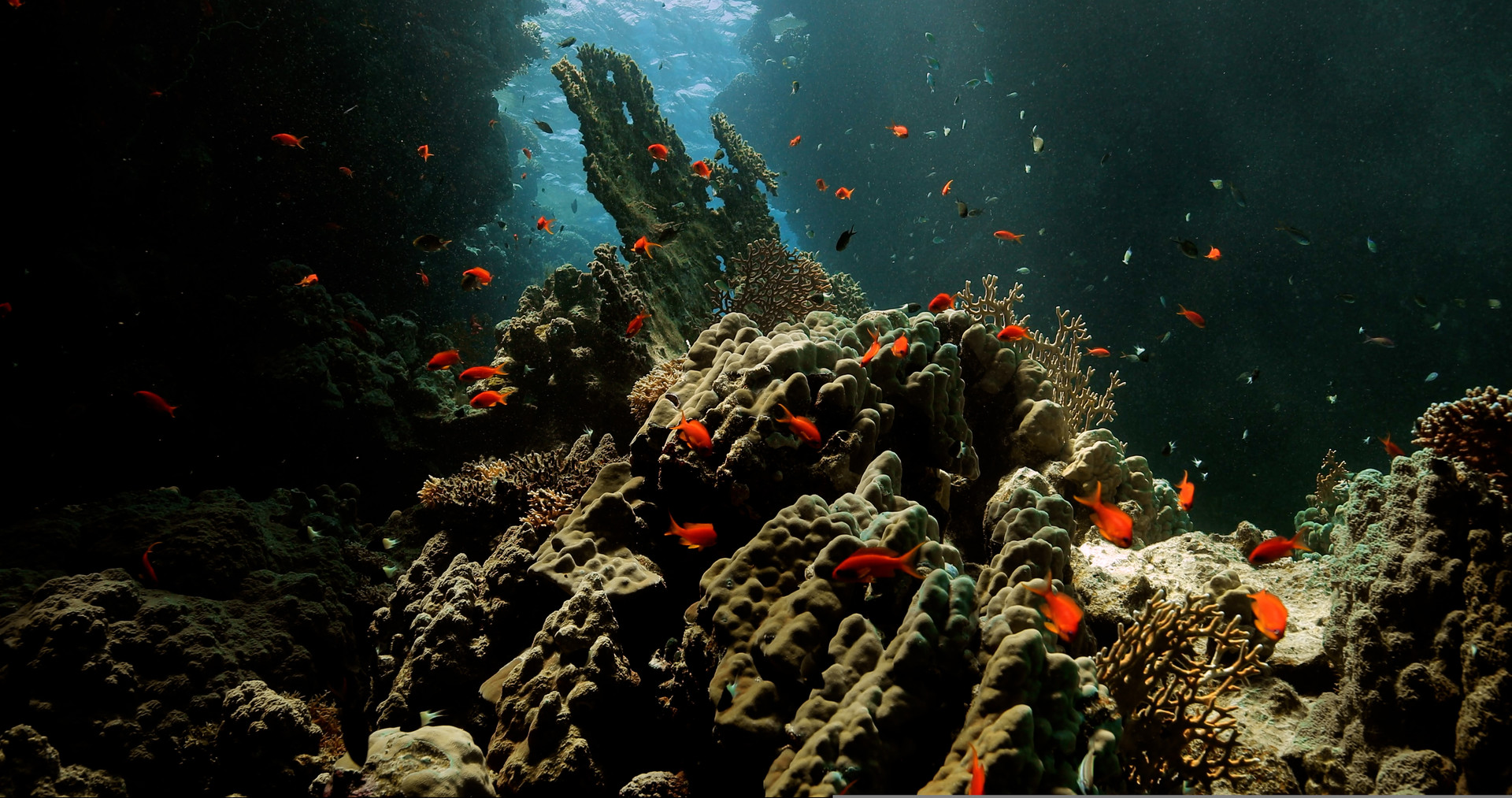 Photo 1 BlueParadises
