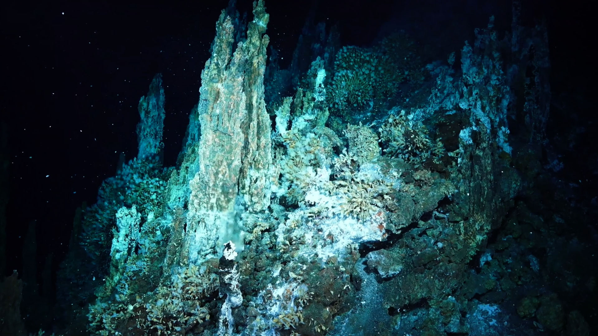 Photo 2 IN_TOO_DEEP