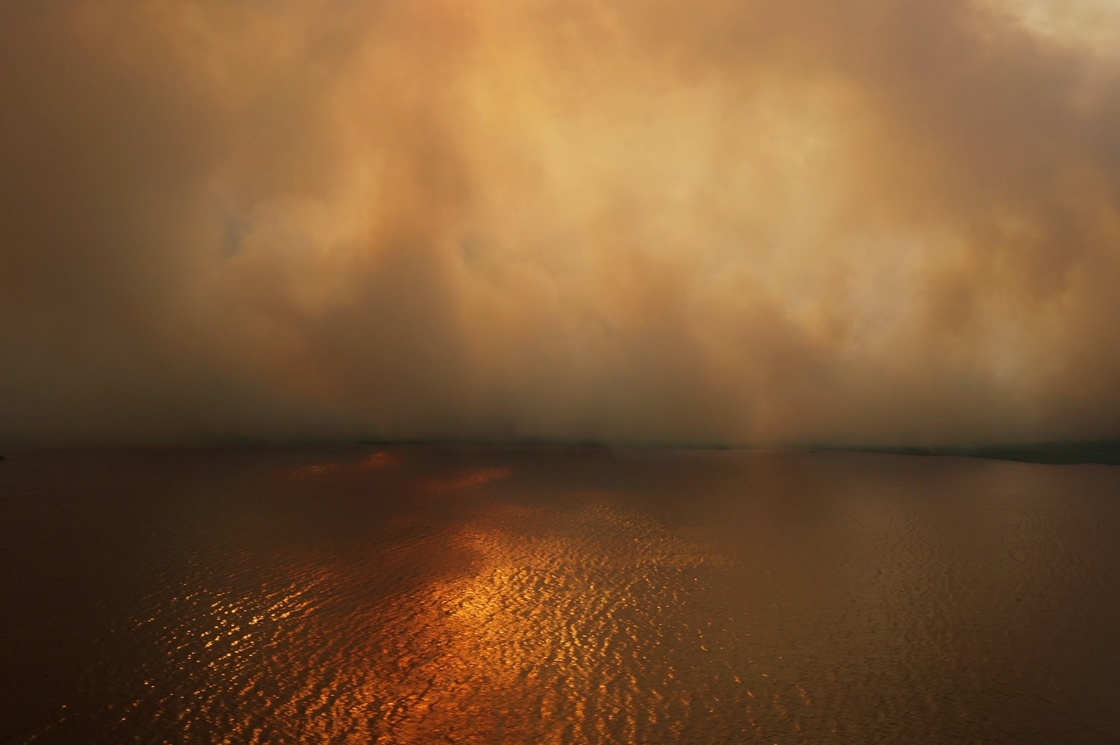 Photo 4 Pantanal