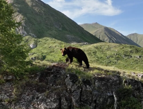 Mongolia – Valley of the bears